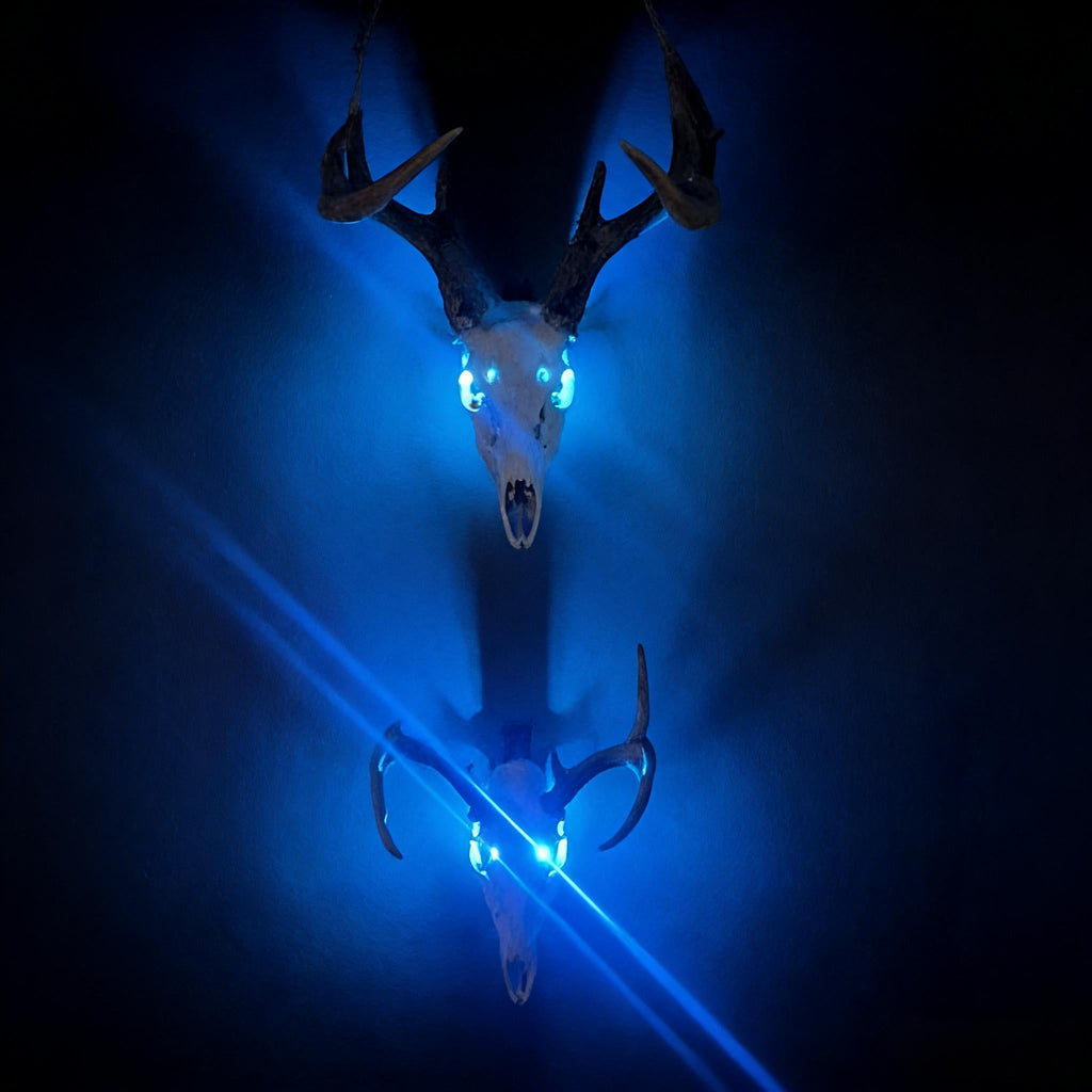 EuroGlowTM LED Skull Eye Lights for European Deer Mounts🦌🔥