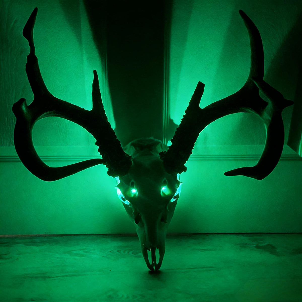 EuroGlowTM LED Skull Eye Lights for European Deer Mounts🦌🔥