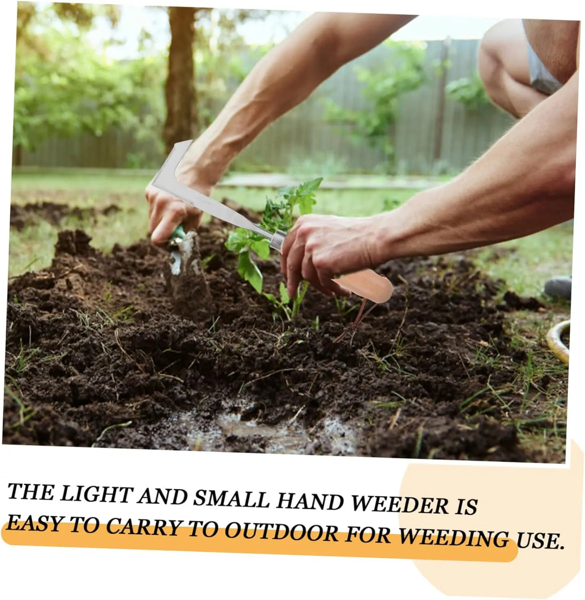 Stainless Steel Crack Weeder Tool 🌿
