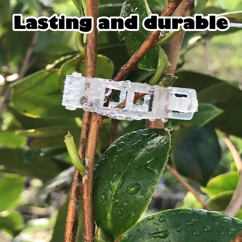 🌿 Grow Upright, Grow Stronger: 100-Pack Professional Plant Support Clips