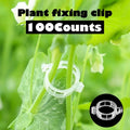 🌿 Grow Upright, Grow Stronger: 100-Pack Professional Plant Support Clips