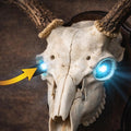 EuroGlowTM LED Skull Eye Lights for European Deer Mounts🦌🔥